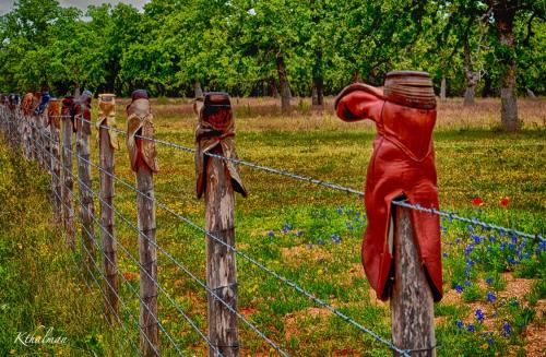 Boots on a fence by Kathy Thalman