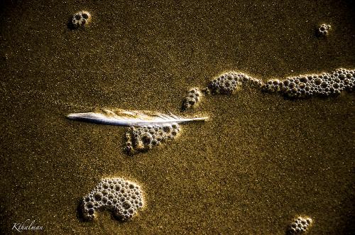 Sand, Bubbles and a Feather by Kathy Thalman